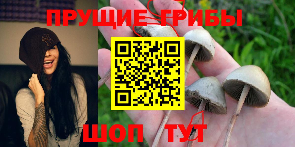 Галлюциногенные грибы прущие грибы Можайск
