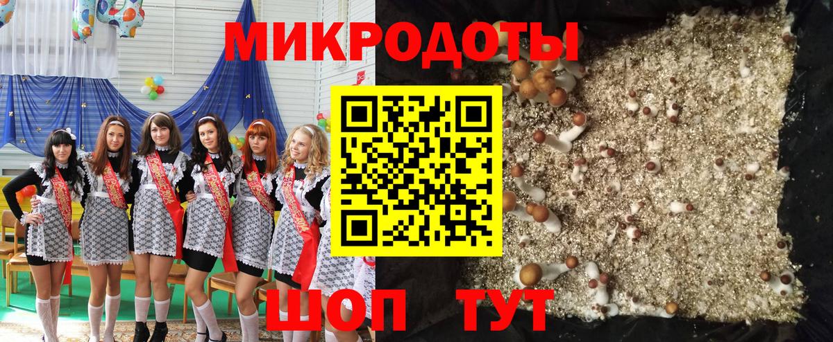 Можайск  Псилоцибиновые грибы GOLDEN TEACHER  наркошоп  Вход с VPN 